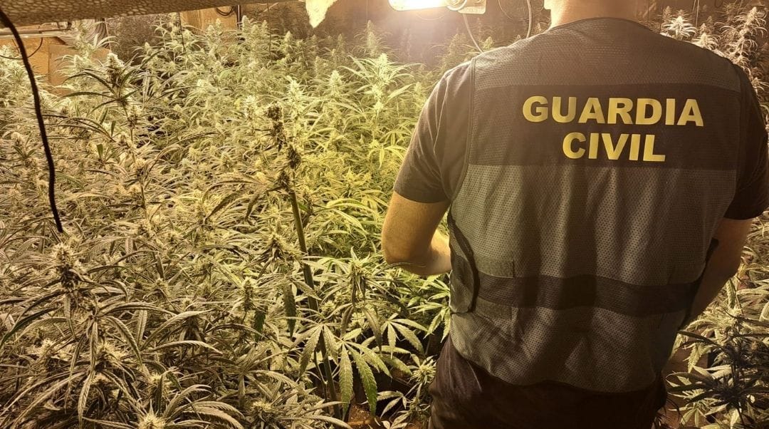 Imagen de archivo de un agente de la Guardia Civil en una plantación de marihuana. Foto: infocostatropical.com