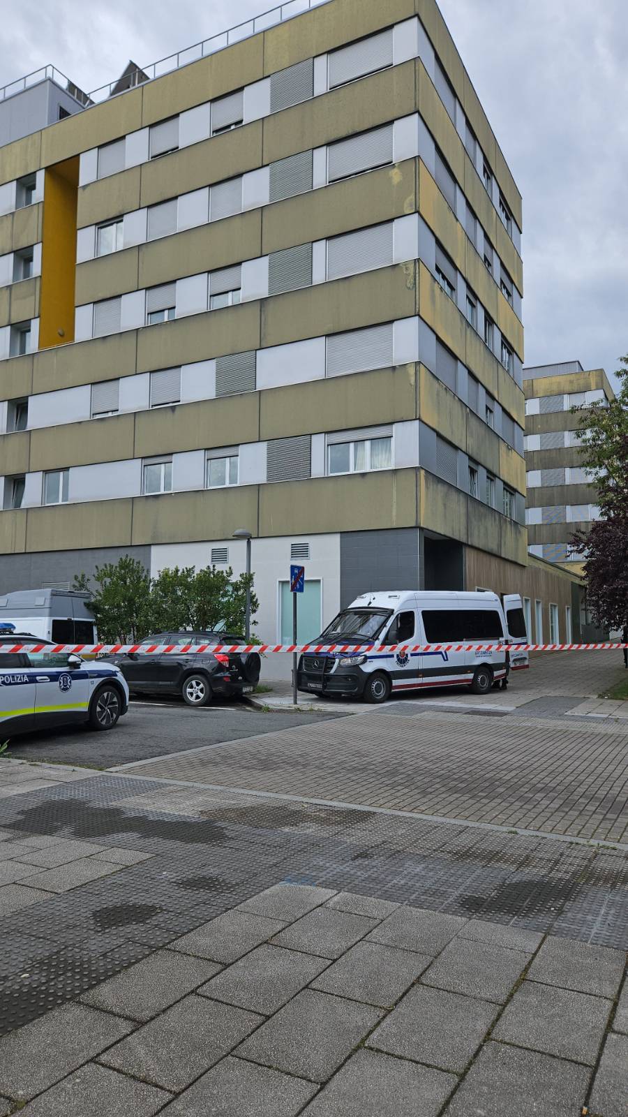 El Gobierno Vasco quiere desahuciar a una madre víctima de violencia machista en Gasteiz