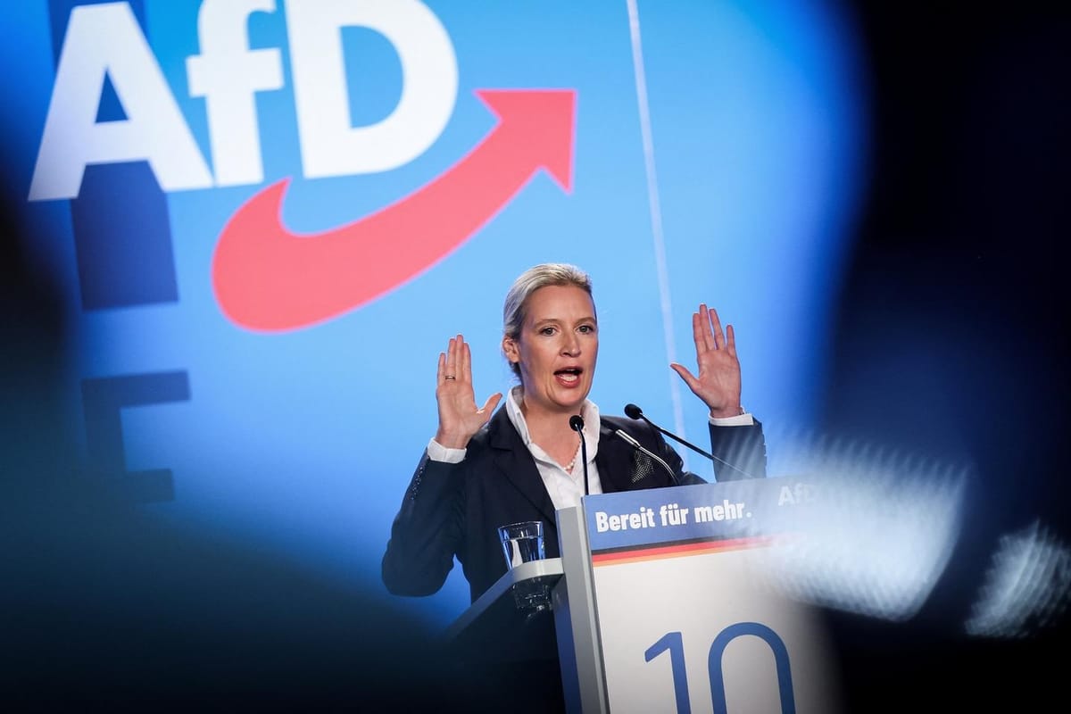 Imagen de archivo de Alice Weidel, líder de la AfD. Foto: AfD