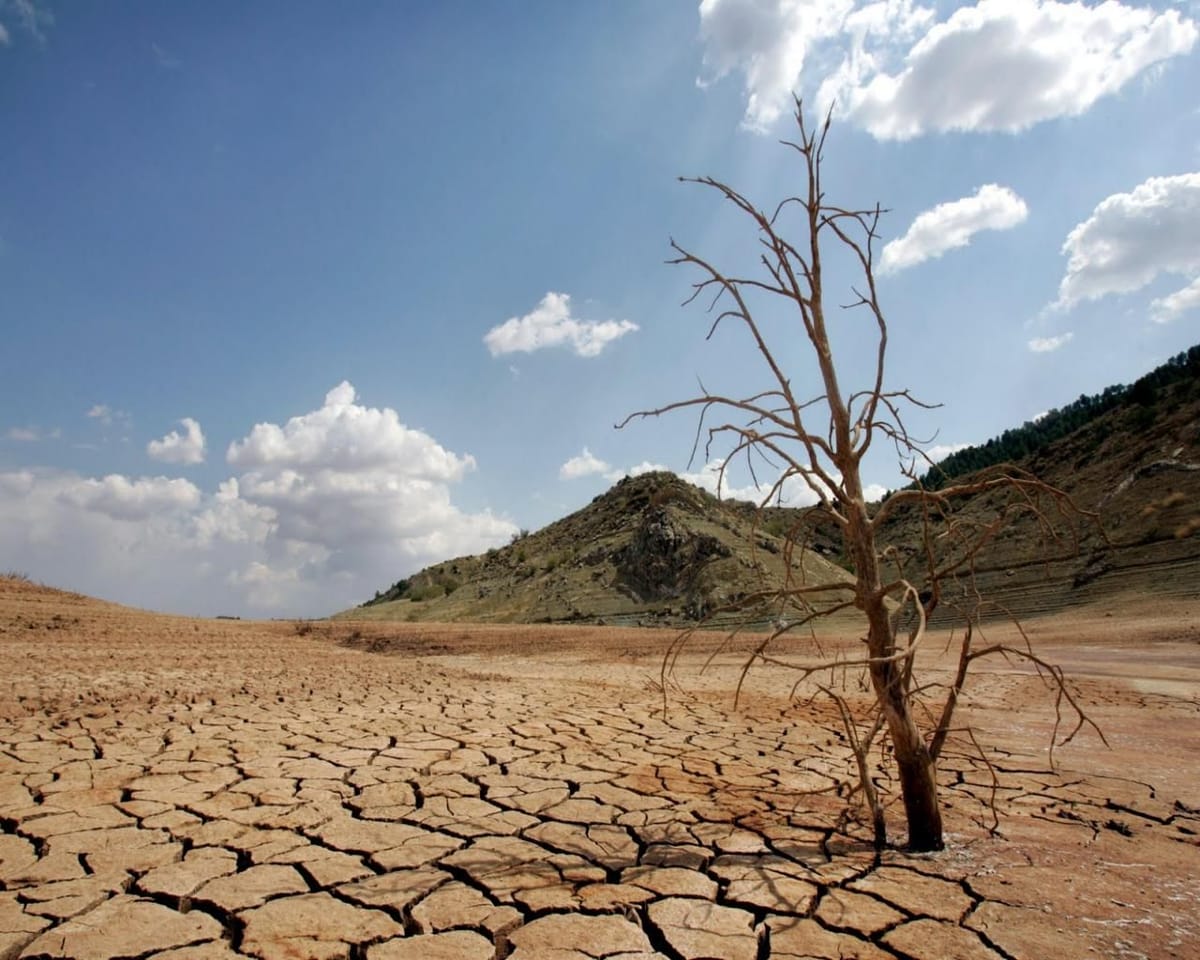 El calentamiento global podría superar los 3 °C antes de 2050 – Diario Socialista