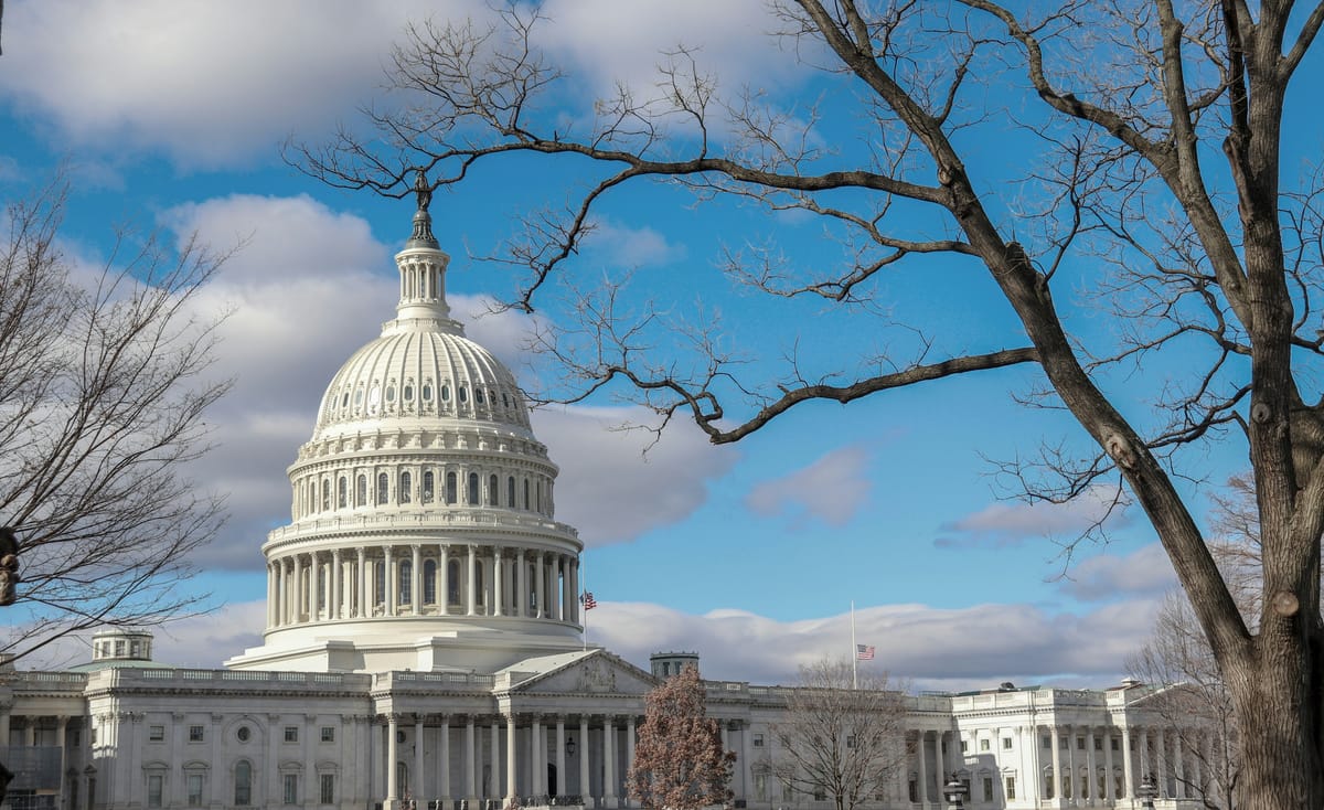 Imagen de archivo del Capitolio de Washington. Foto: Shravankumar Hiregoudar/Unsplash