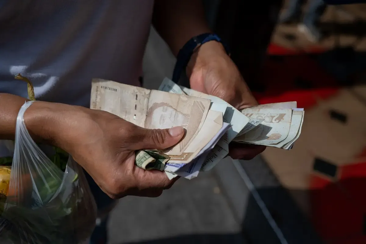 Imagen de archivo de pesos bolivarianos. Foto: elsumario.com