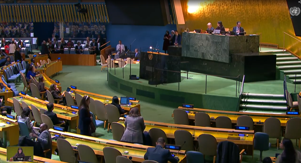 Asamblea general de la ONU durante la votación de reconocimiento de la trata de esclavos como crimen de lesa humanidad. Foto: ONU