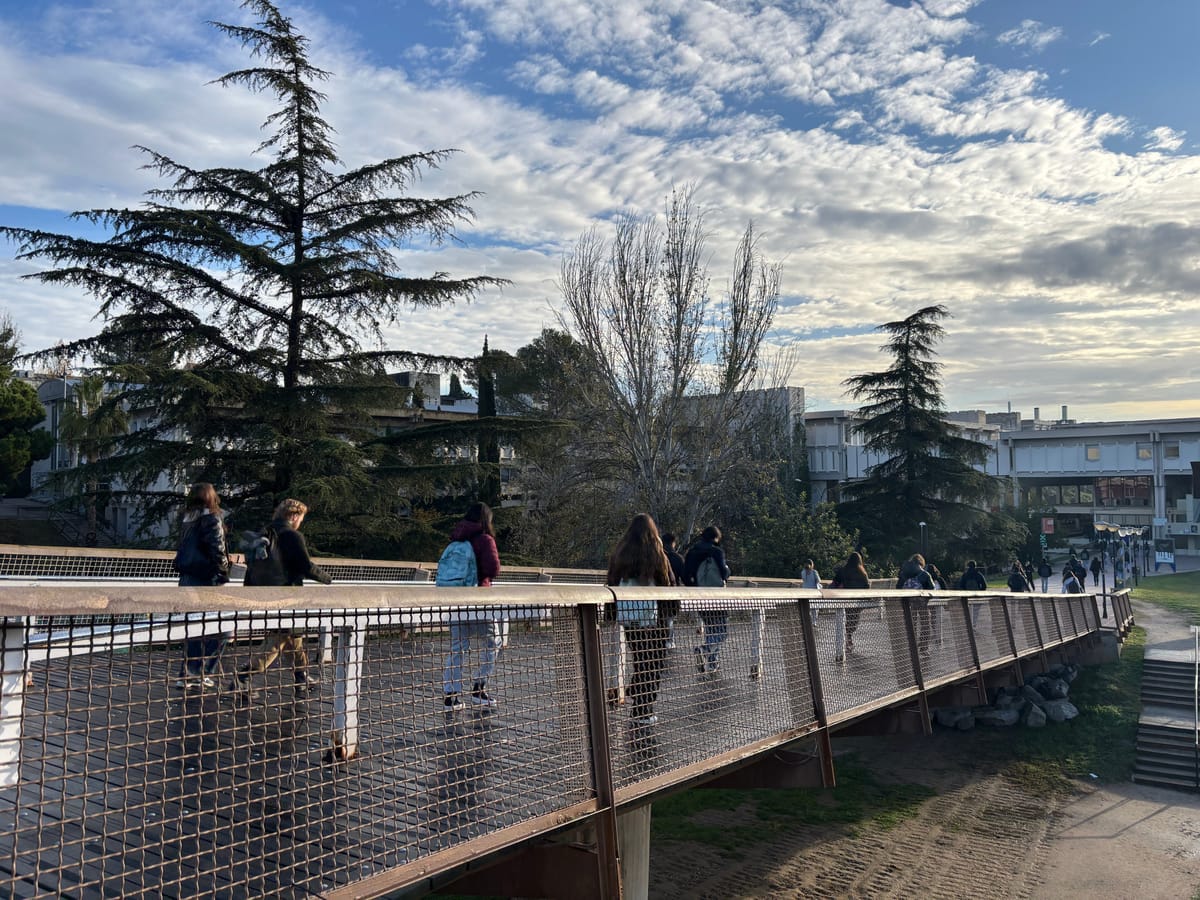 El absentismo universitario en Catalunya alcanza el 60% en algunas asignaturas
