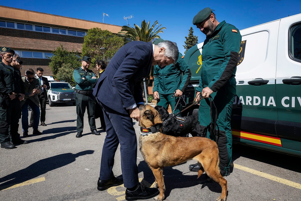 Imagen de archivo del ministro de Interior español Fernando Grande-Marlaska con los perros de la Guardia Civil. Foto: @interiorgob (X)