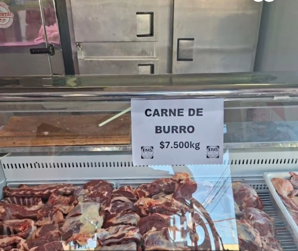 Imagen de archivo de venta de carne de burro en una carnicería argentina. Foto: vía DW