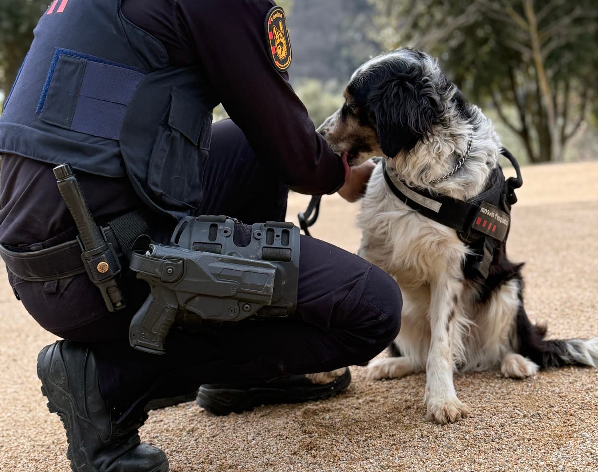 Foto: Mossos d'Esquadra.