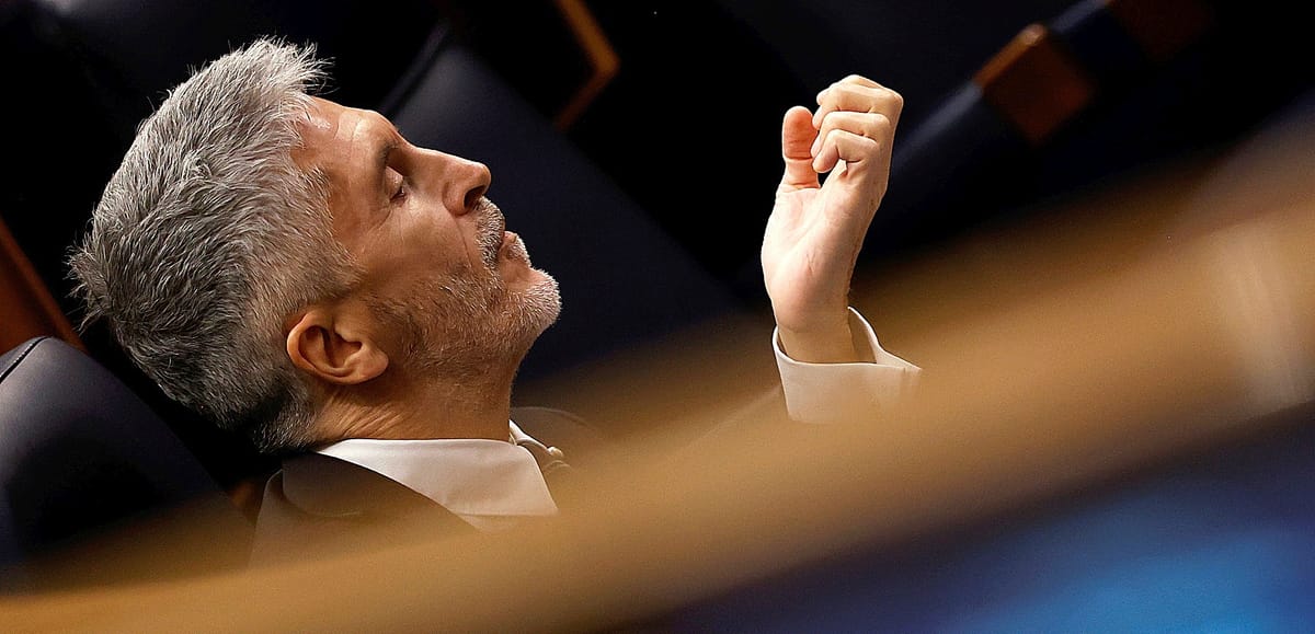 Fernando Grande-Marlaska, ministro del Interior. Foto: elmundo.es