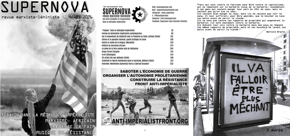 Detenidos dos militantes comunistas franceses por una publicación solidaria con Palestina