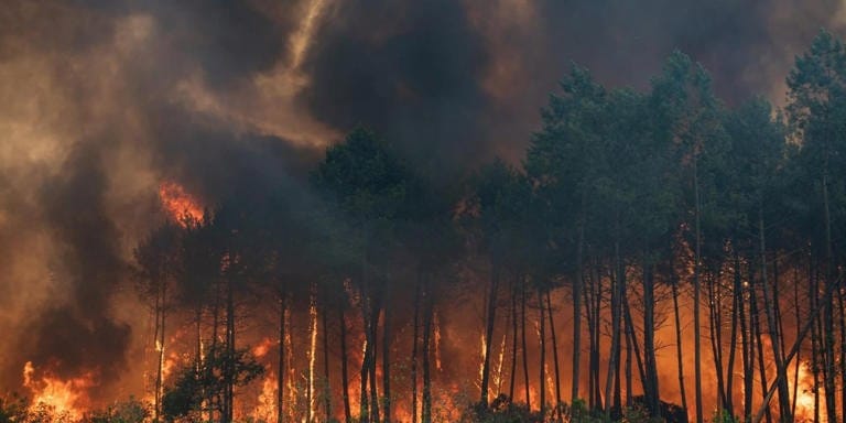 El incendio entre Madrid, Toledo y Ávila. Foto: efe.com