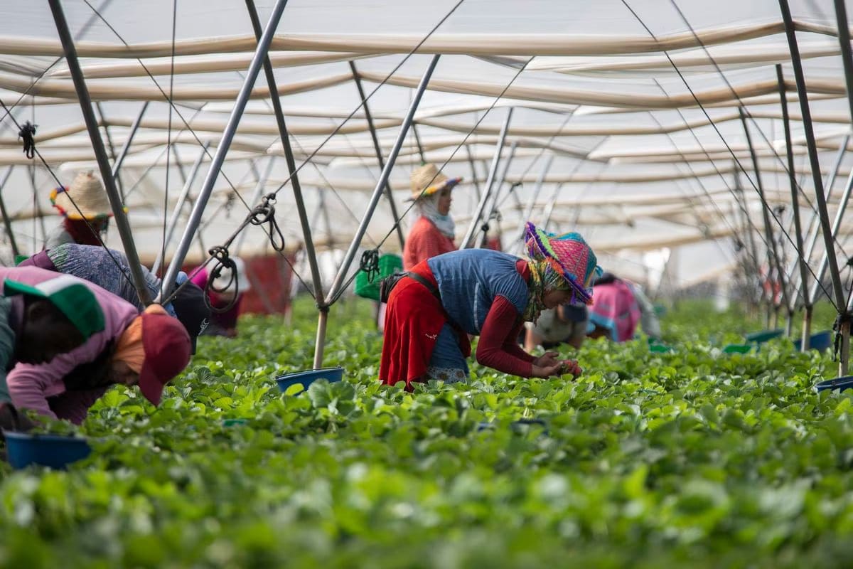 Cuatro de cada diez trabajadores tienen un sueldo inferior a 2.000 euros