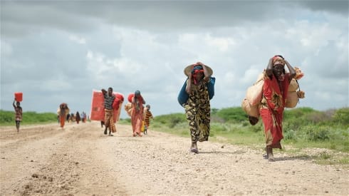 Informe Global sobre Desplazamiento Interno 2024: Un mundo en movimiento
