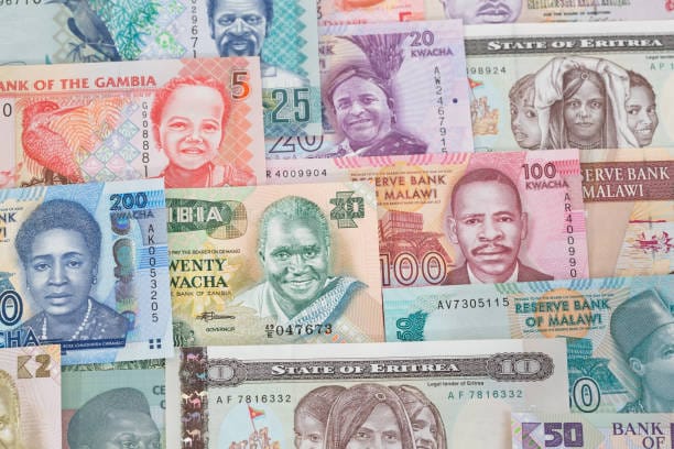 África frente a la competencia económica global