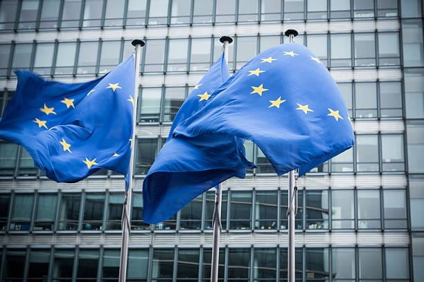 Las principales retos de la UE en 2025: estancamiento económico, presupuestos militares y expansión