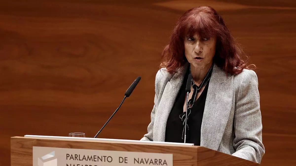 Desacuerdos internos dejan a Vox con un pie fuera del parlamento navarro