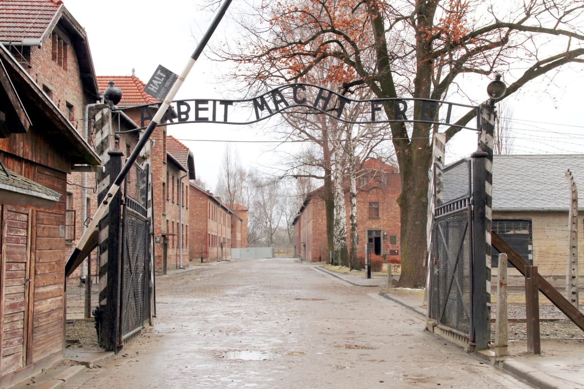 Detienen a un estudiante israelí por hacer el saludo nazi en Auschwitz