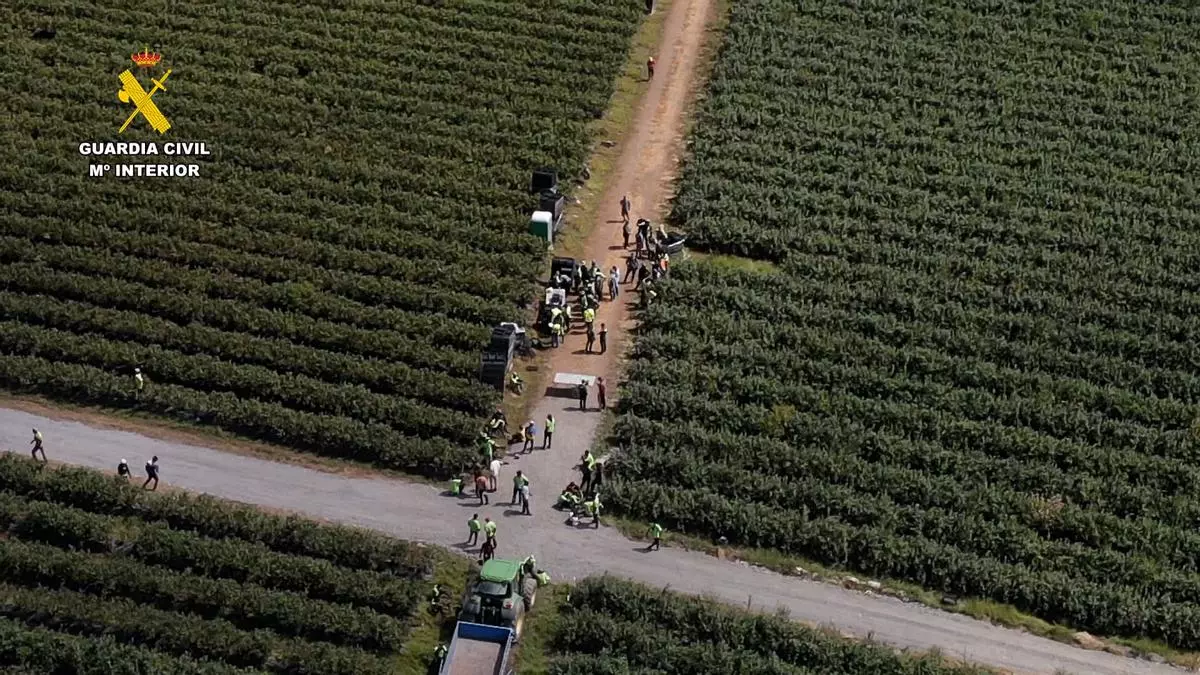 Multas de 850.000 euros a dos empresas por explotación laboral ilegal de migrantes en Lugo