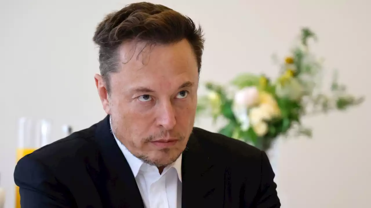 El departamento de Musk accede a bases judiciales con datos sensibles de personas migrantes en EEUU