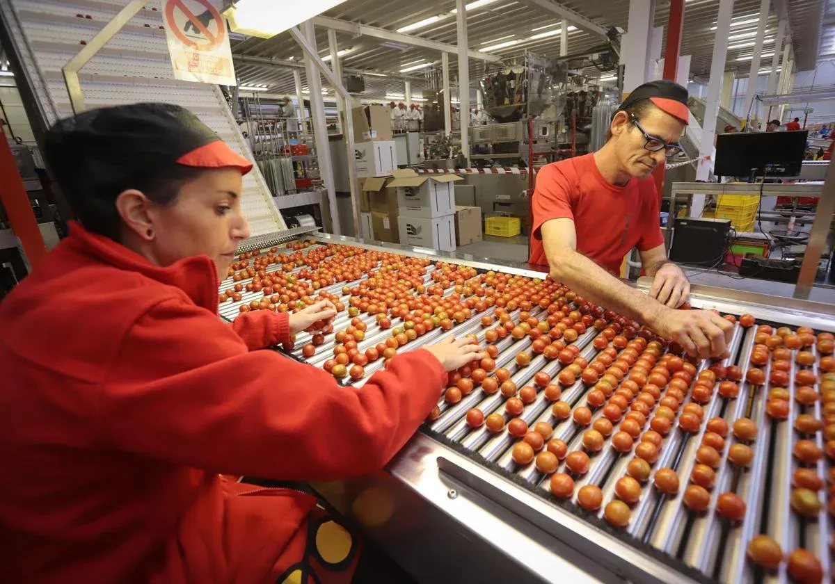 El PIB modera su crecimiento al 2,8% interanual en el primer trimestre de 2025