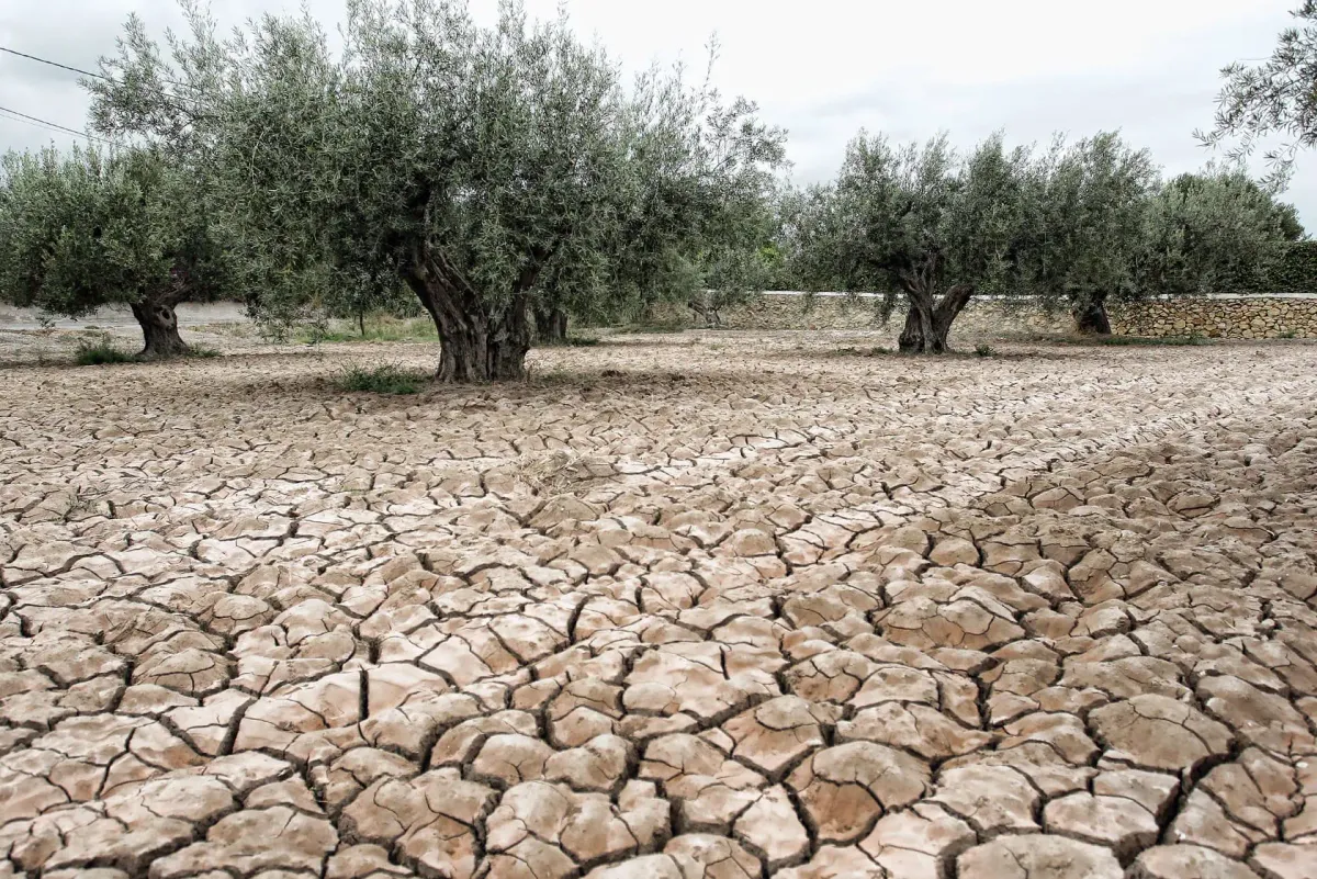2024, el año más caluroso de la historia en Europa