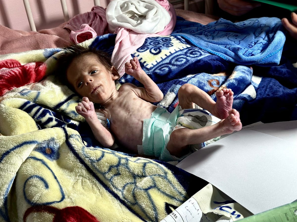 14.000 bebés podrían morir de hambre en Gaza en las próximas 48 horas si no entra ayuda, según la ONU