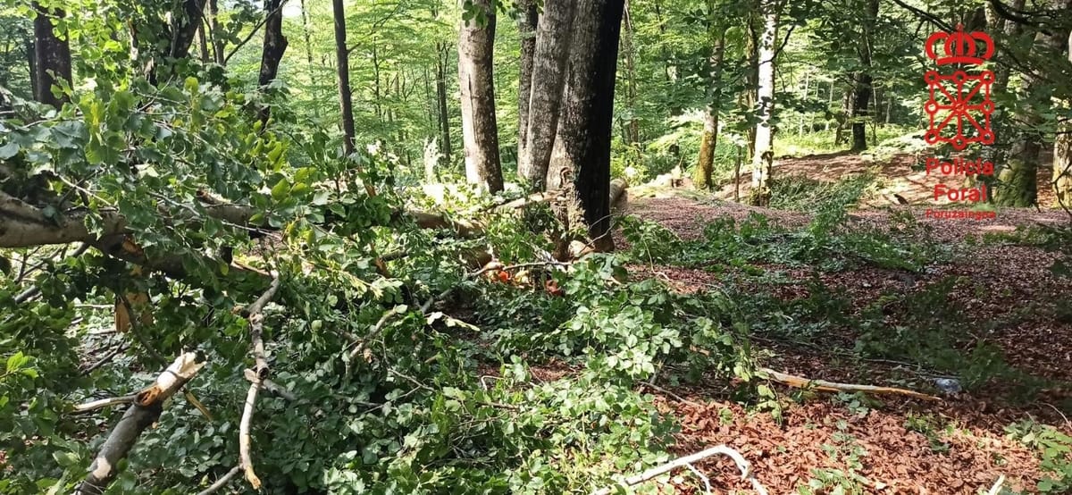 Un trabajador forestal muere en Altsasu