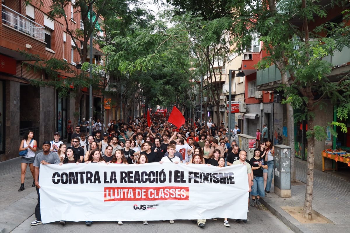 El 54,9% la juventud del Estado español se muestra insatisfecha con el funcionamiento de la democracia