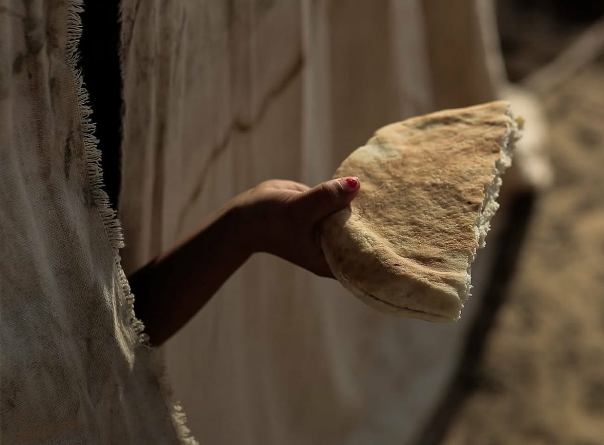 El 90% de la población de Gaza alcanza la fase 5 de hambruna: una catástrofe humanitaria sin precedentes