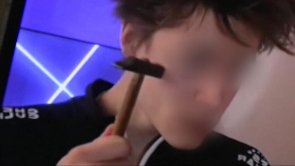 Encarcelan a un joven francés de 18 años por planear el primer ataque incel del país