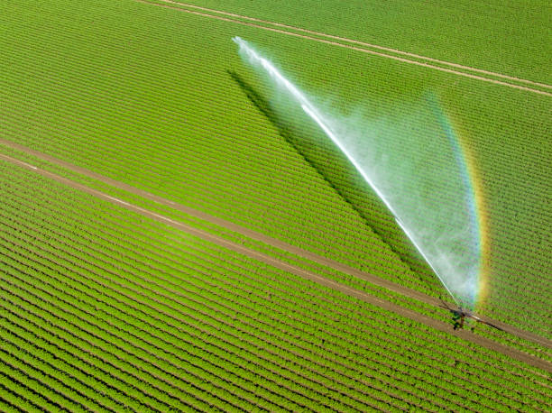 900 fondos de inversión controlan 100.000 millones de euros en tierras de cultivo