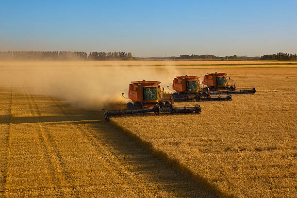 Los agricultores de EEUU se preparan para las consecuencias de la guerra comercial de Trump