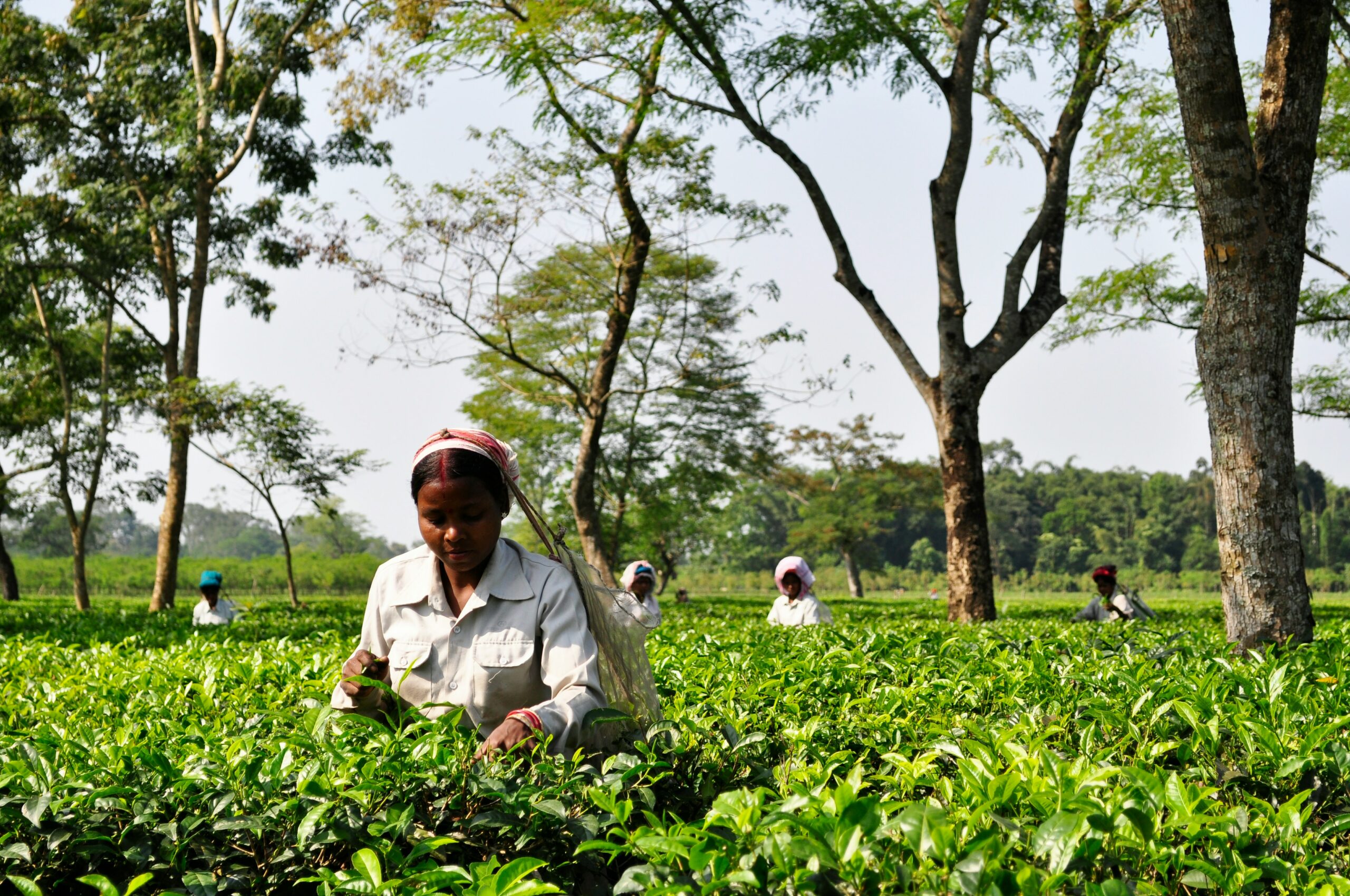 Más de 300 millones de trabajadores de la India se encuentran en condiciones de semiesclavitud